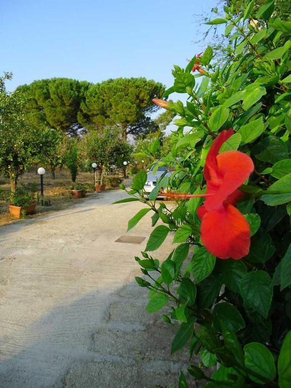 "Green" B&B Il Bracco Partinico Εξωτερικό φωτογραφία