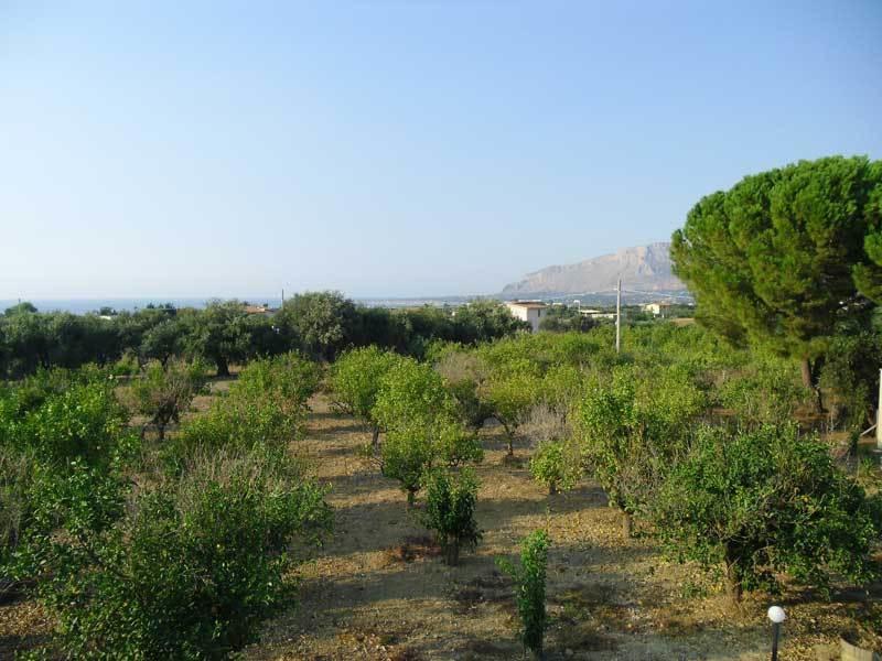 "Green" B&B Il Bracco Partinico Εξωτερικό φωτογραφία